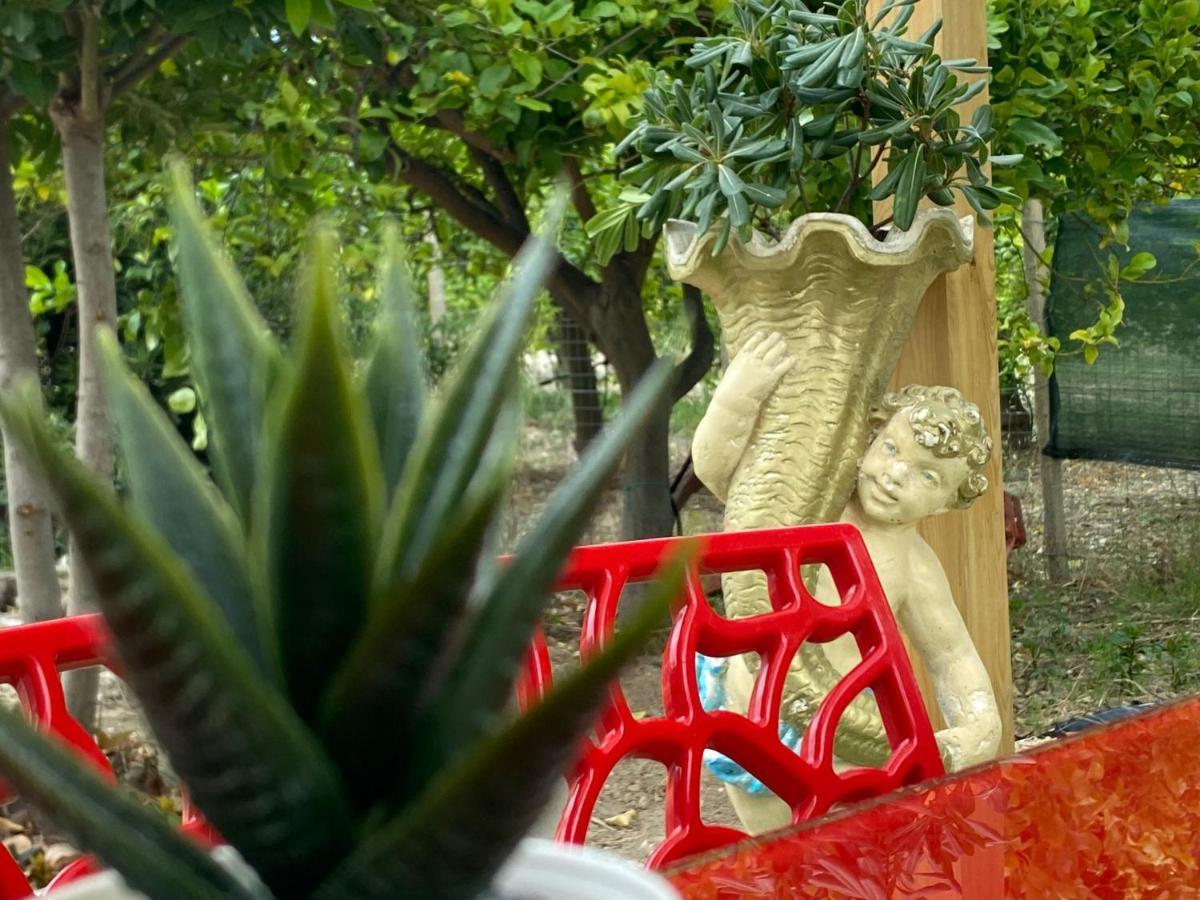 Casa Vacanze Vannuzza Villa Noto Bagian luar foto