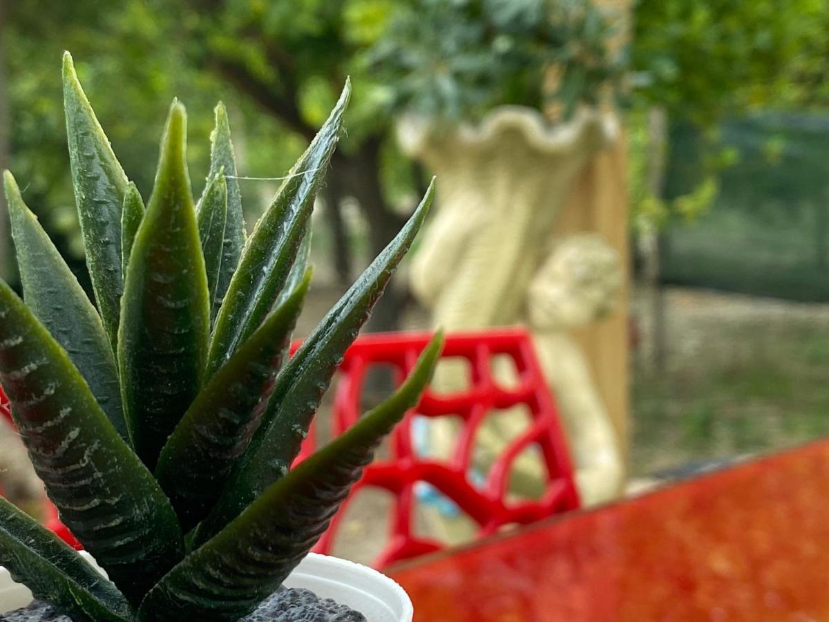 Casa Vacanze Vannuzza Villa Noto Bagian luar foto