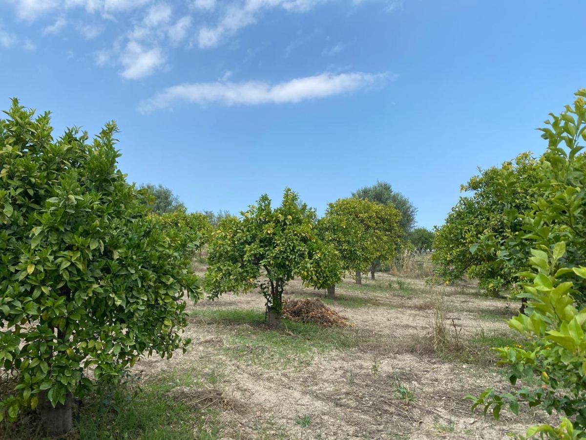 Casa Vacanze Vannuzza Villa Noto Bagian luar foto